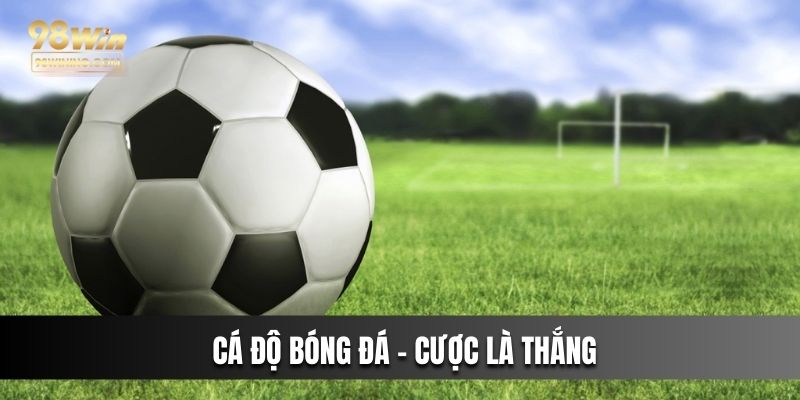 Cá độ bóng đá - cược là thắng